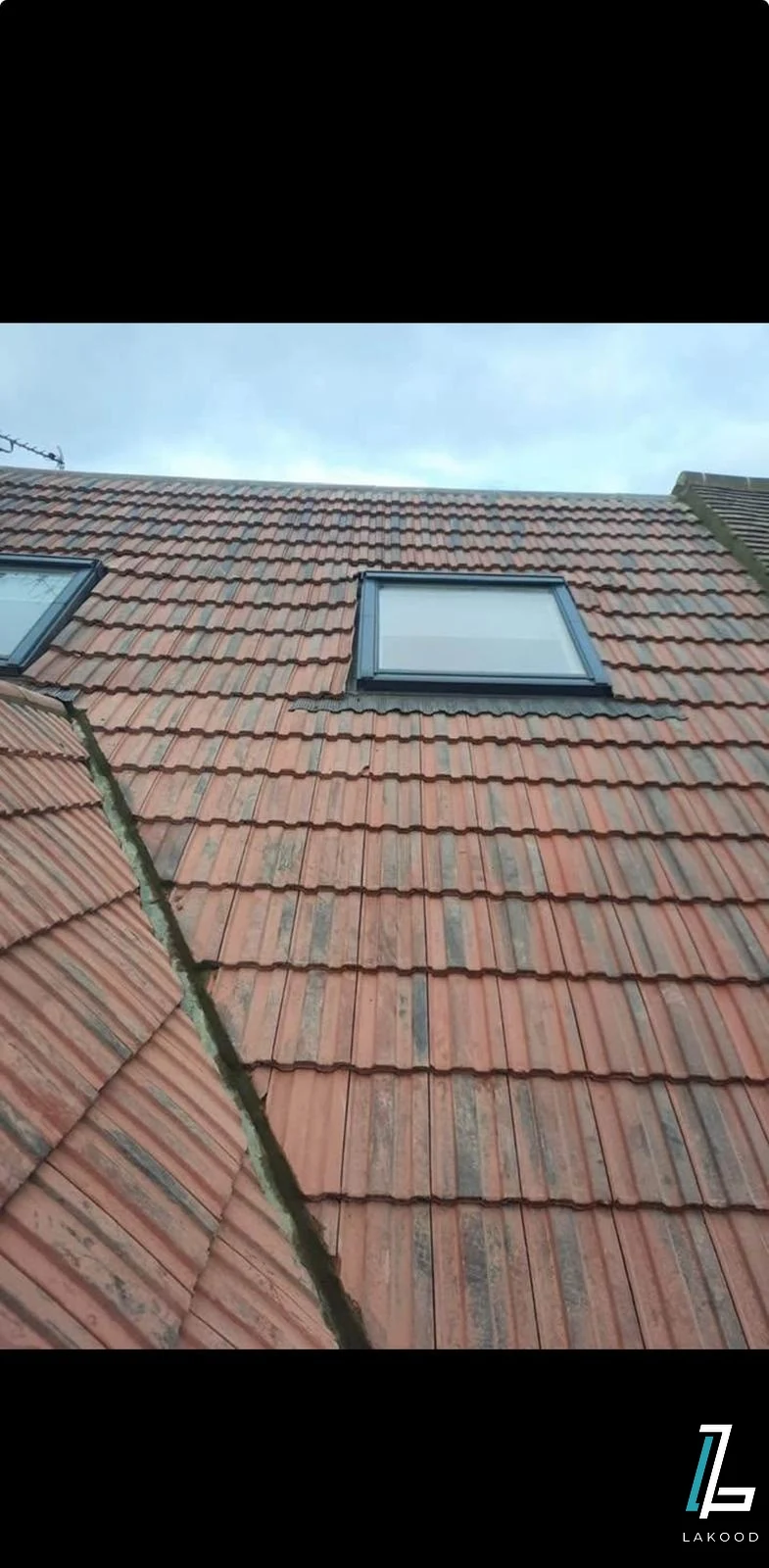 Professional Roof Cleaning