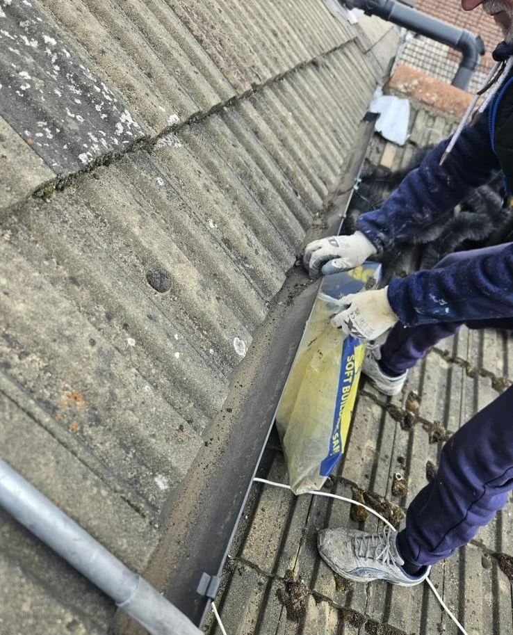 Professional Gutter Cleaning